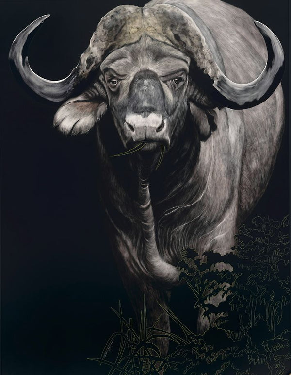 Buffalo - BUFFALO   naao様用 cape-buffalo_600x.jpg?v=1743541876