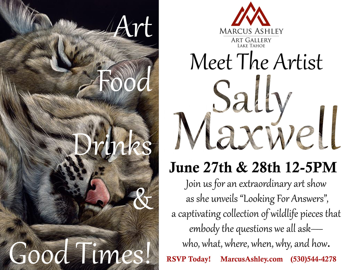 Meet the Artist - Sally Maxwell