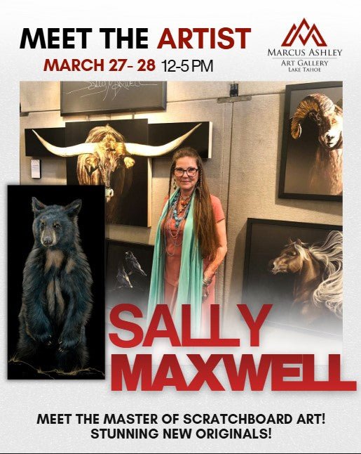 Meet the Artist - Sally Maxwell - Marcus Ashley Gallery