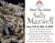 Meet the Artist - Sally Maxwell - Marcus Ashley Gallery