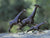 Loet Vanderveen: The Story of a Legendary Bronze Animal Sculpture Artist - Marcus Ashley Gallery