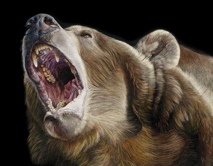 Become the Bear