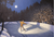 Rob Gonsalves - Marcus Ashley Gallery