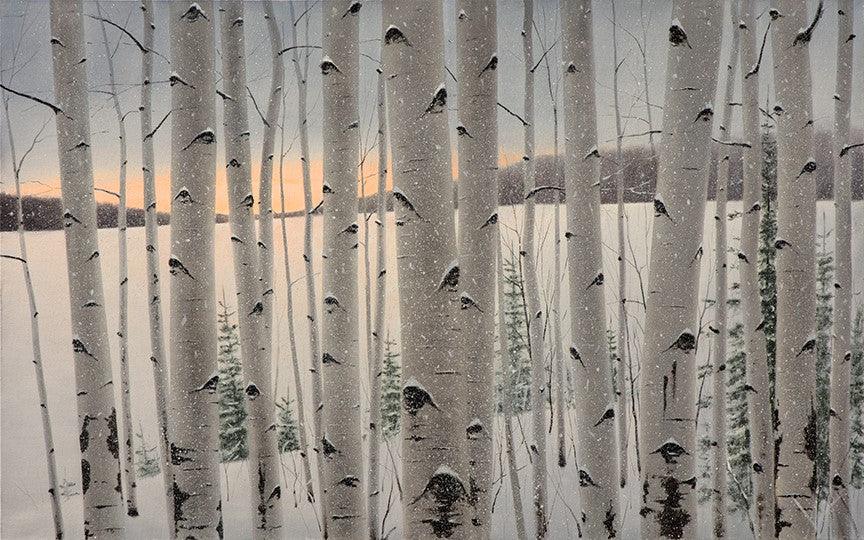 Snowfall at End of Day