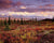 Fall Tundra, Sunset, Denali NP