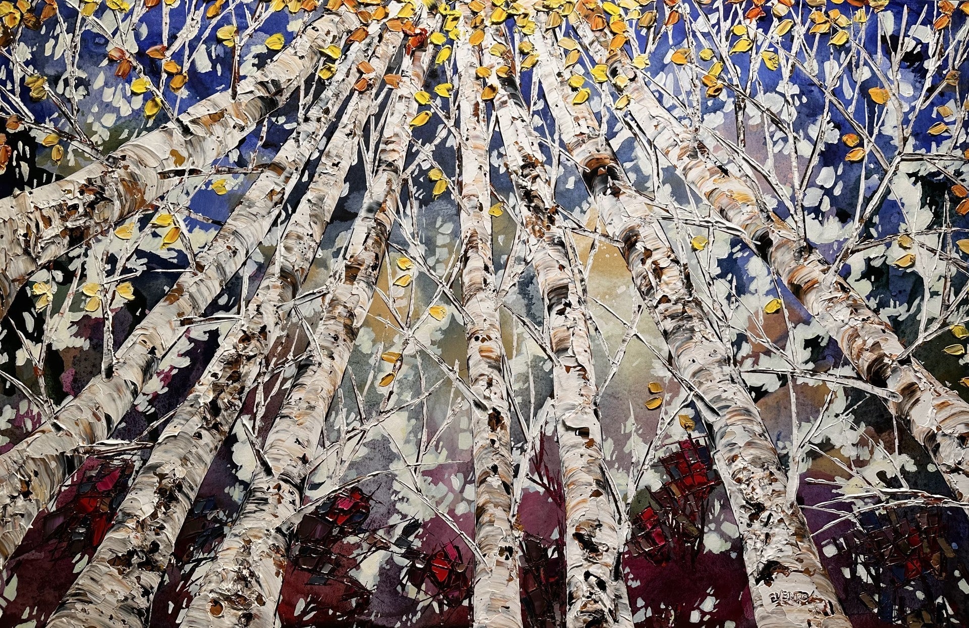 Birch Trees - Marcus Ashley Gallery