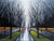 An oil painting, Park Boulevard, captures cyclists on a wet path lined by bare trees. Their colorful jackets contrast with the dark clouds, and the rain-soaked boulevard reflects their hues beautifully, reminiscent of a Harold Braul masterpiece.