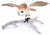 Amelia: A realistic barn owl figurine with wings spread, perched on a large pale deer antler—an eye-catching piece reminiscent of Tim Cotterill’s artistry, as seen in South Lake Tahoe galleries.