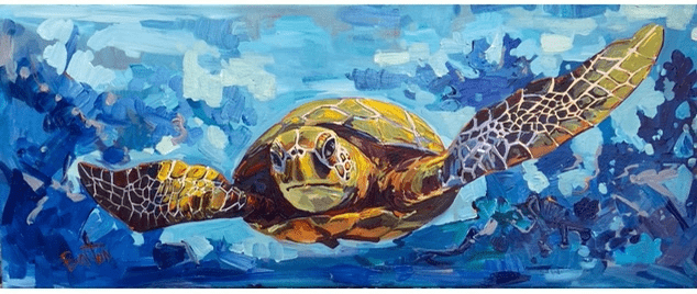 turtle steve barton art