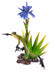 Sunburst - Marcus Ashley Gallery - Marcus Ashley Gallery