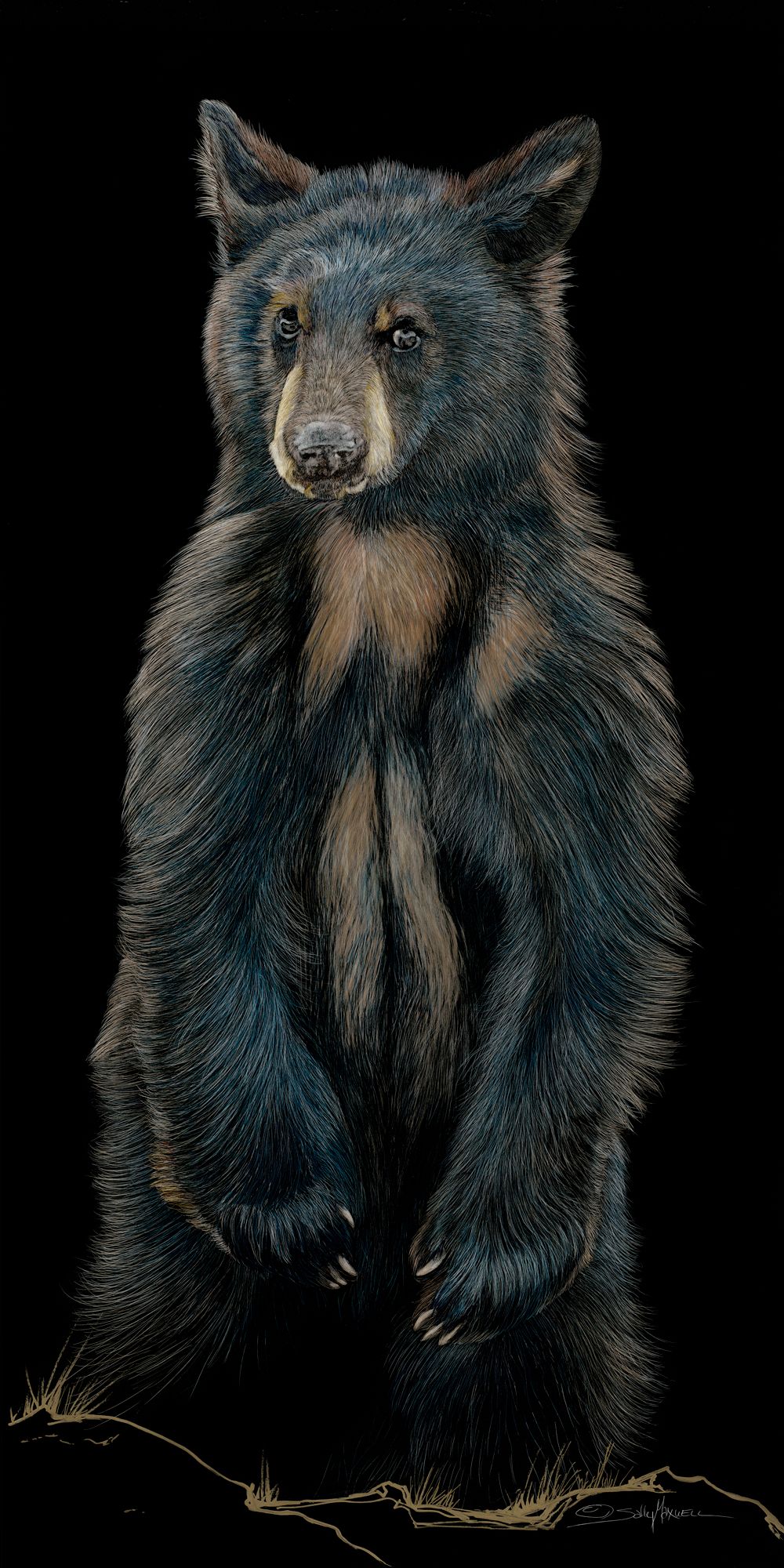 The Baby Bear artwork depicts a black bear standing on its hind legs against a dark backdrop. The artist intricately details the fur in brown and black, creating a lifelike presence as it gazes forward with paws by its sides, contemplating porridge or forest adventures.