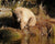 Blonde Bear Reflecting by Jon Paul