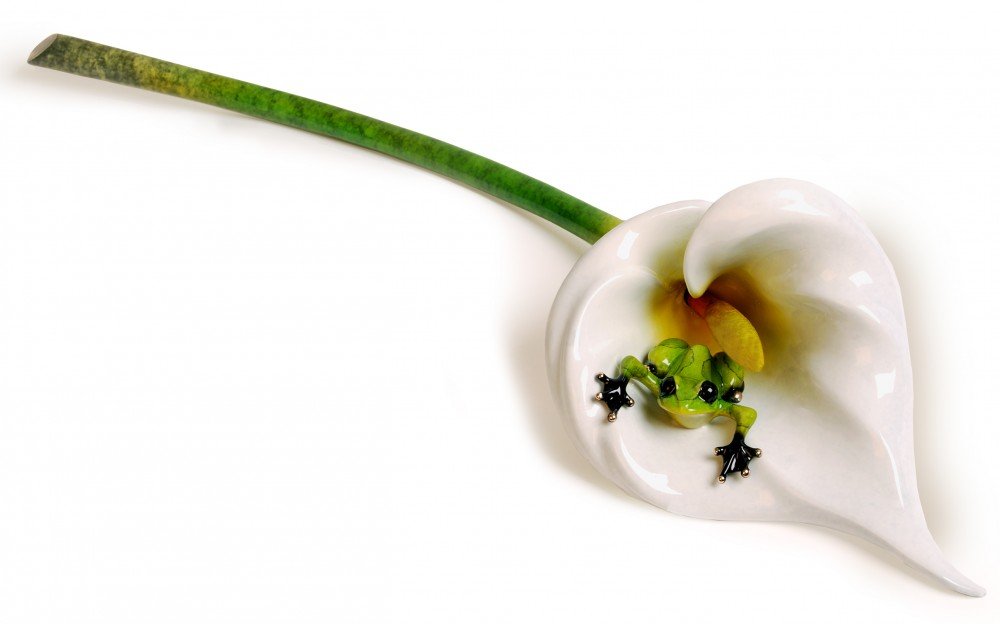 Calla Lily