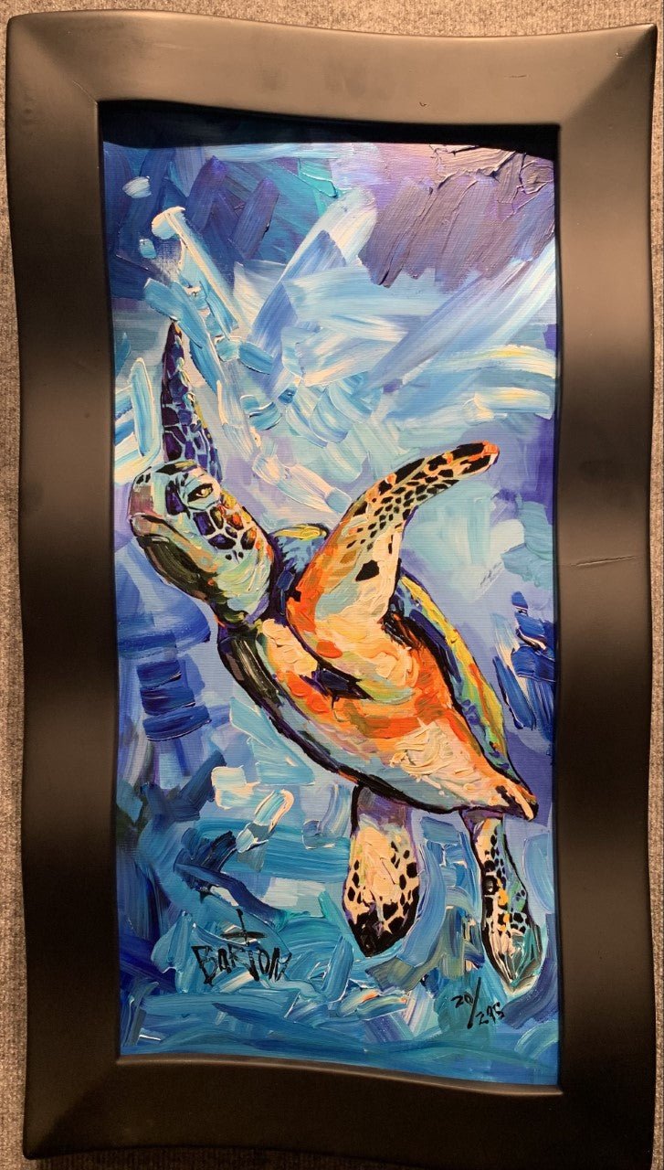 The vibrant, impressionistic painting Coral features a sea turtle with bright colors and extended fins, gracefully swimming through a blue aquatic background. It captures the essence of Steve Barton art and is elegantly framed in a black, wavy-edged frame.