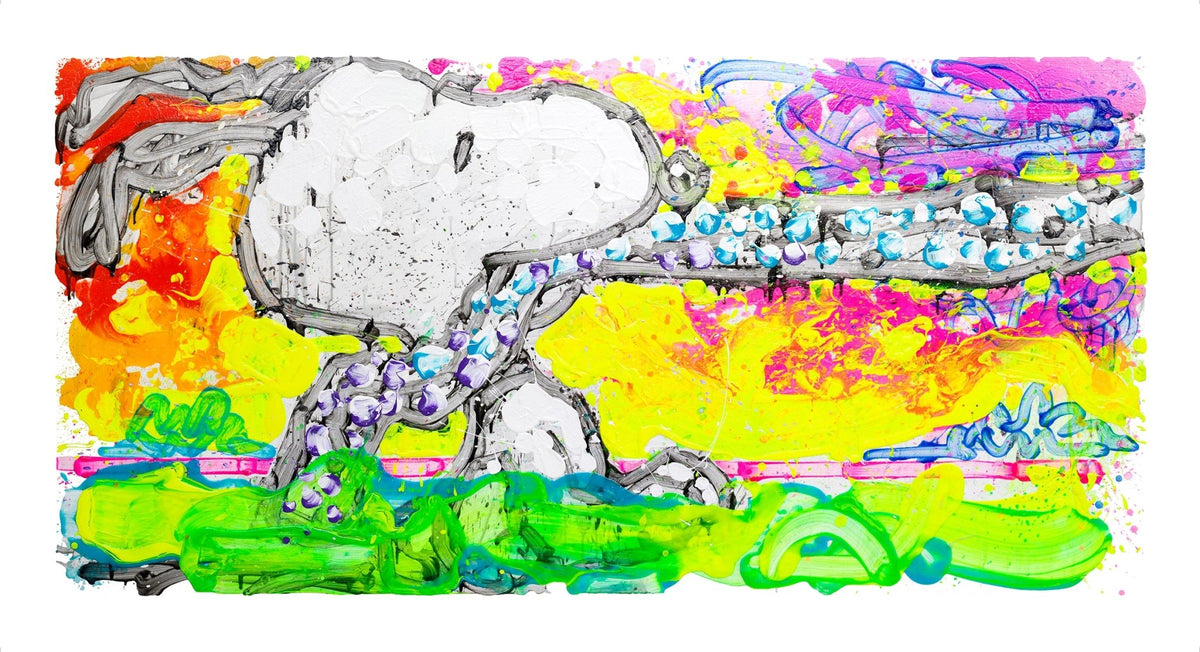 The giclée on paper titled Coup Detat is a vibrant abstract piece with a cartoon dog featuring a long snout and floppy ears, set against an energetic backdrop of yellow, orange, pink, green, and splashes of blue and purple. It playfully evokes Tom Everharts signature style.