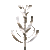 Animated gif of the spinning Desert Lily metal sculpture by Lyman Whitaker.