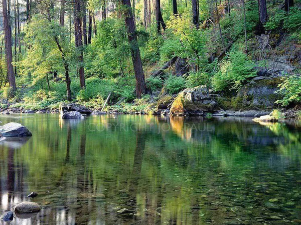 Dream River - Marcus Ashley Gallery