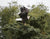 Eagle Landing