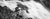 Eagle Falls Bonsai Panoramic Black and White - Marcus Ashley Gallery - Marcus Ashley Gallery