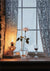 Evening Rose - Marcus Ashley Gallery - Marcus Ashley Gallery