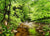 First Days of Summer - Marcus Ashley Gallery - Marcus Ashley Gallery