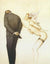 The lithograph A Gift for the Disillusioned Man by Michael Parkes features a surreal scene of a man in a suit with his back turned and a playful, winged female figure gazing at him. She stands on tiptoe, her hair flowing upwards, hiding a flower with a mischievous expression.
