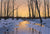 Half Hour Before Spring - Marcus Ashley Gallery - Marcus Ashley Gallery