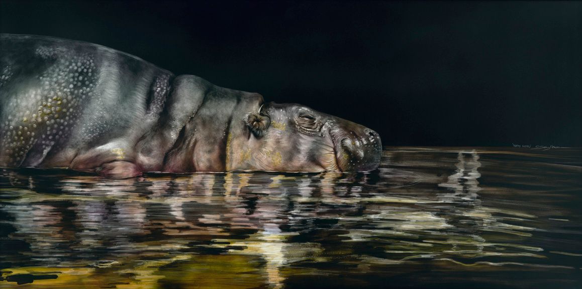 Happy Hippo