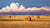 Harvest Thunder - Marcus Ashley Gallery - Marcus Ashley Gallery