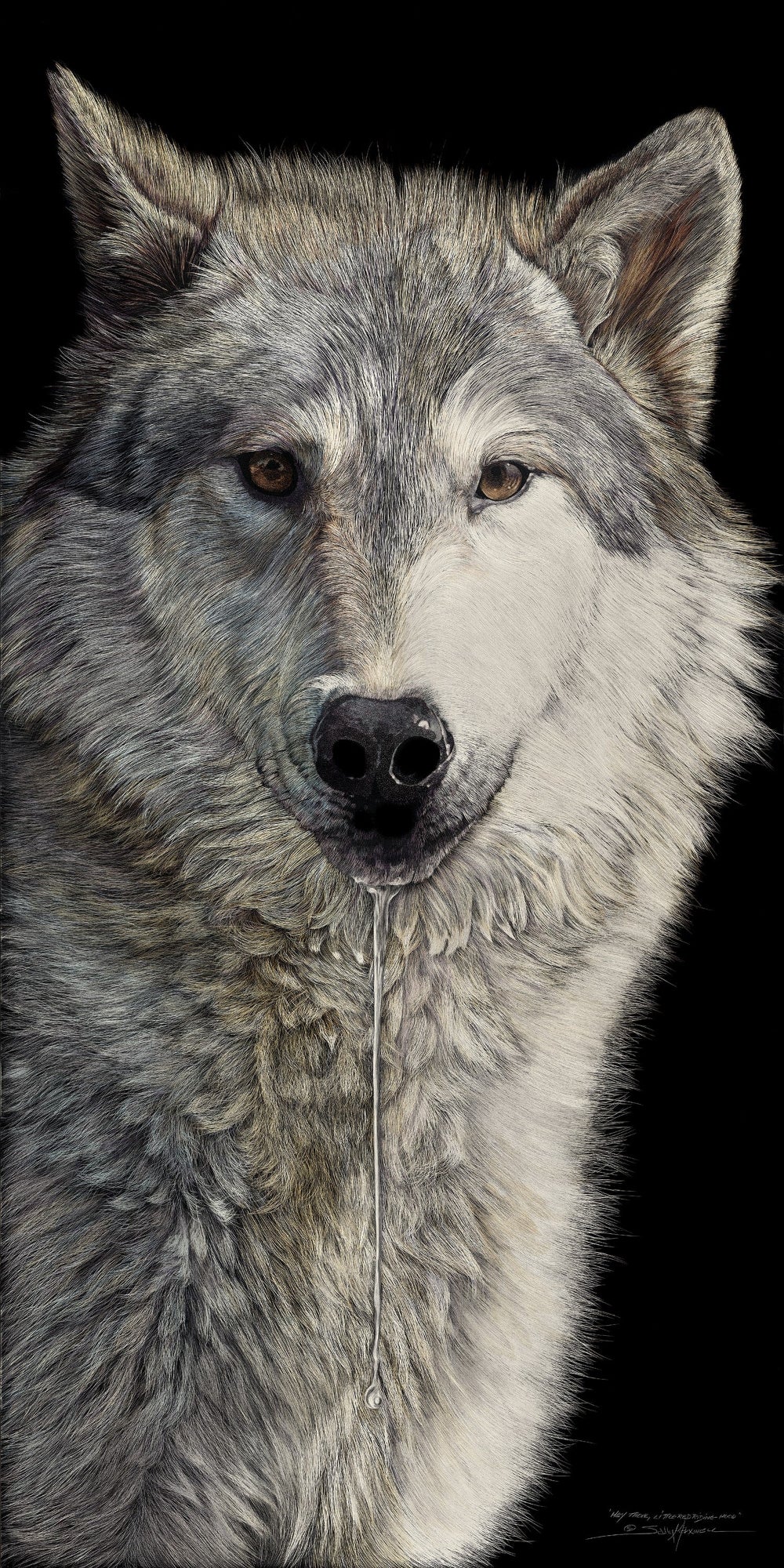 Sally Maxwell art, showing a wolf drooling, on a black background