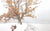 Homecoming - Marcus Ashley Gallery - Marcus Ashley Gallery