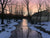 Into the Night - Marcus Ashley Gallery - Marcus Ashley Gallery