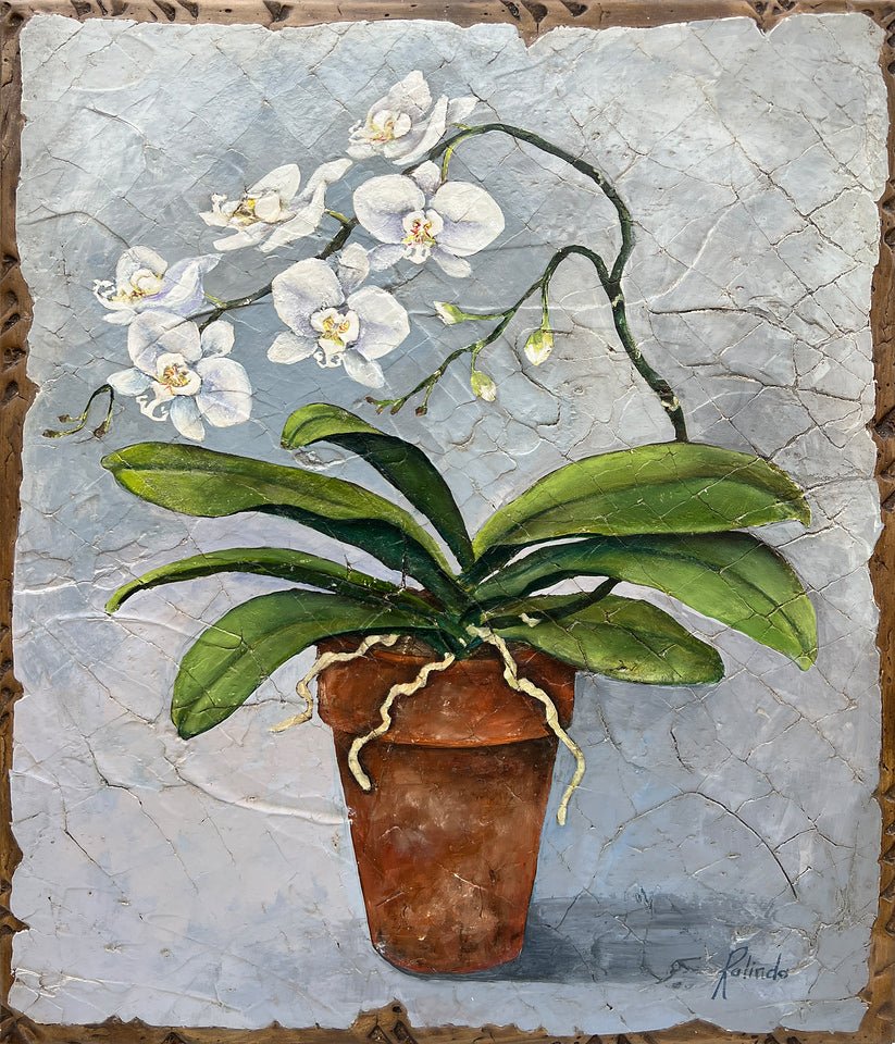 A painting titled Jubilee features a potted orchid with white blossoms and green leaves against a textured gray background, made using the Bella Rotta technique. Rolinda Stottss signature adorns the bottom, enhancing its artistry.