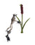 Lords and Ladies - Marcus Ashley Gallery - Marcus Ashley Gallery