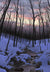 March Runoff - Marcus Ashley Gallery - Marcus Ashley Gallery