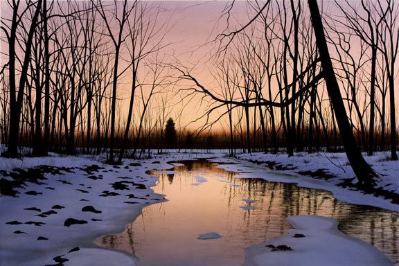 March Reflections - Marcus Ashley Gallery