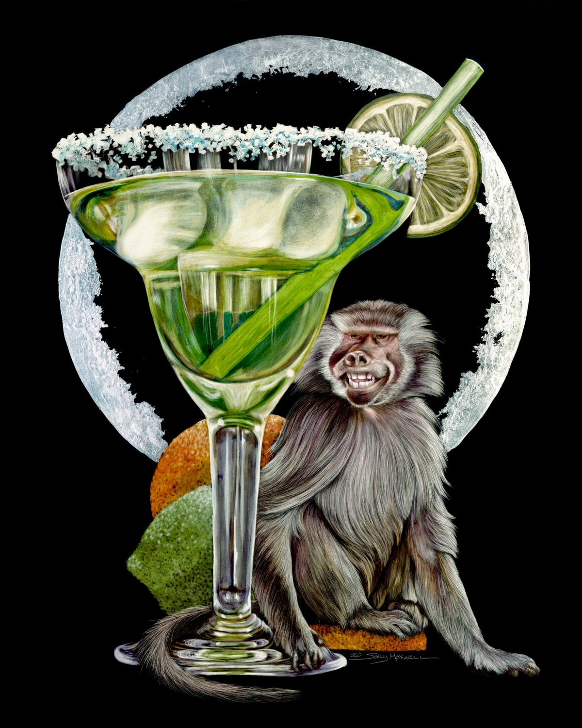 Margarita-Monkey-sally-maxwell