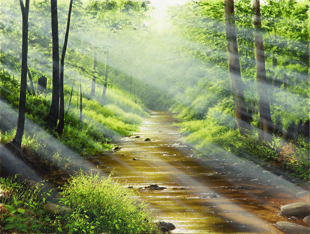 Sunlight filters through tall trees, illuminating May Creek as it winds through lush forest foliage. Gentle sparkles on the water and warm rays capture the mystical, timeless beauty reminiscent of classic oil on canvas landscapes.