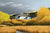 McPolin September - Marcus Ashley Gallery - Marcus Ashley Gallery