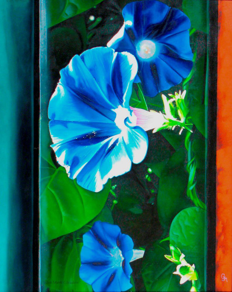 Morning Glories