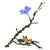 Morning Glory - Marcus Ashley Gallery - Marcus Ashley Gallery