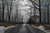 Night Road - Marcus Ashley Gallery - Marcus Ashley Gallery