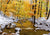 October Snowfall - Marcus Ashley Gallery - Marcus Ashley Gallery