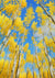 Ode To Joy - Marcus Ashley Gallery - Marcus Ashley Gallery