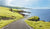 Old Road To Hana - Marcus Ashley Gallery - Marcus Ashley Gallery