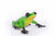 Ollie - Marcus Ashley Gallery - Marcus Ashley Gallery