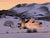 Park City Dusk - Marcus Ashley Gallery - Marcus Ashley Gallery