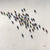 An aerial view of the Peloton series - 191534 by Harold Braul features cyclists in vibrant outfits on a light grey surface, capturing dynamic patterns as they move together.
