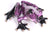 Pizzazz - Marcus Ashley Gallery - Marcus Ashley Gallery