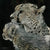 Precious Moment - Marcus Ashley Gallery - Marcus Ashley Gallery